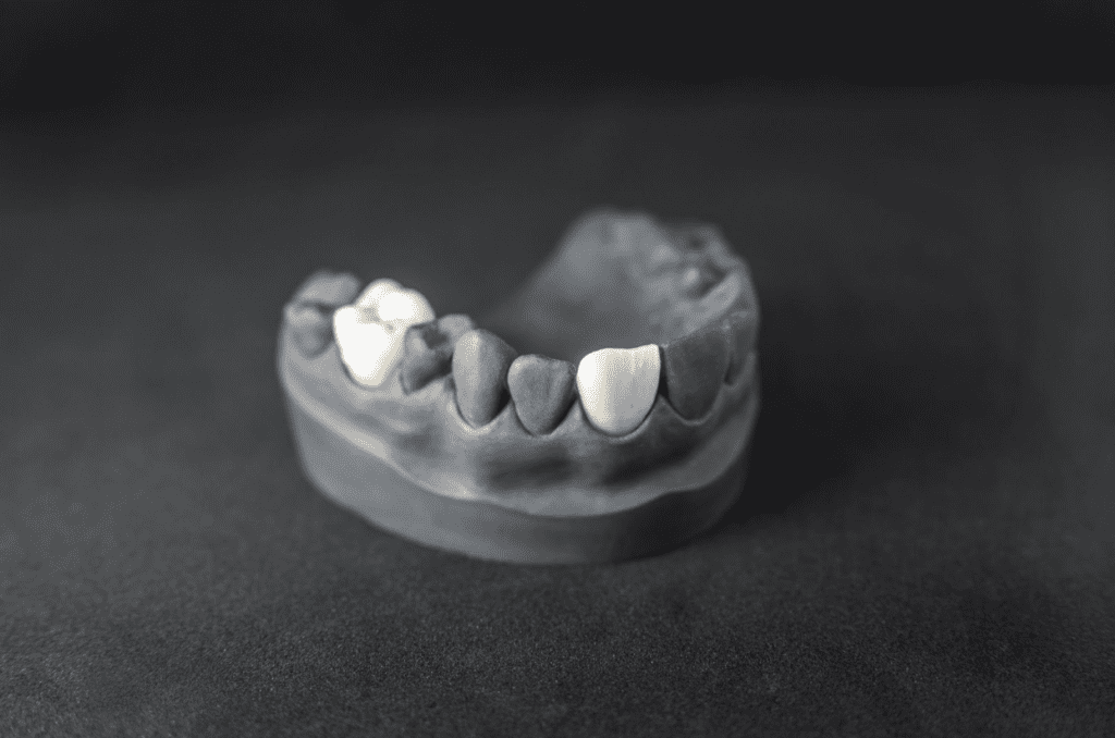 teeth model