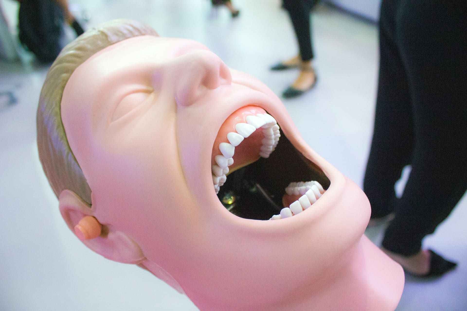 A set of dummy teeth, often used for dental training or demonstration, displayed on a table.